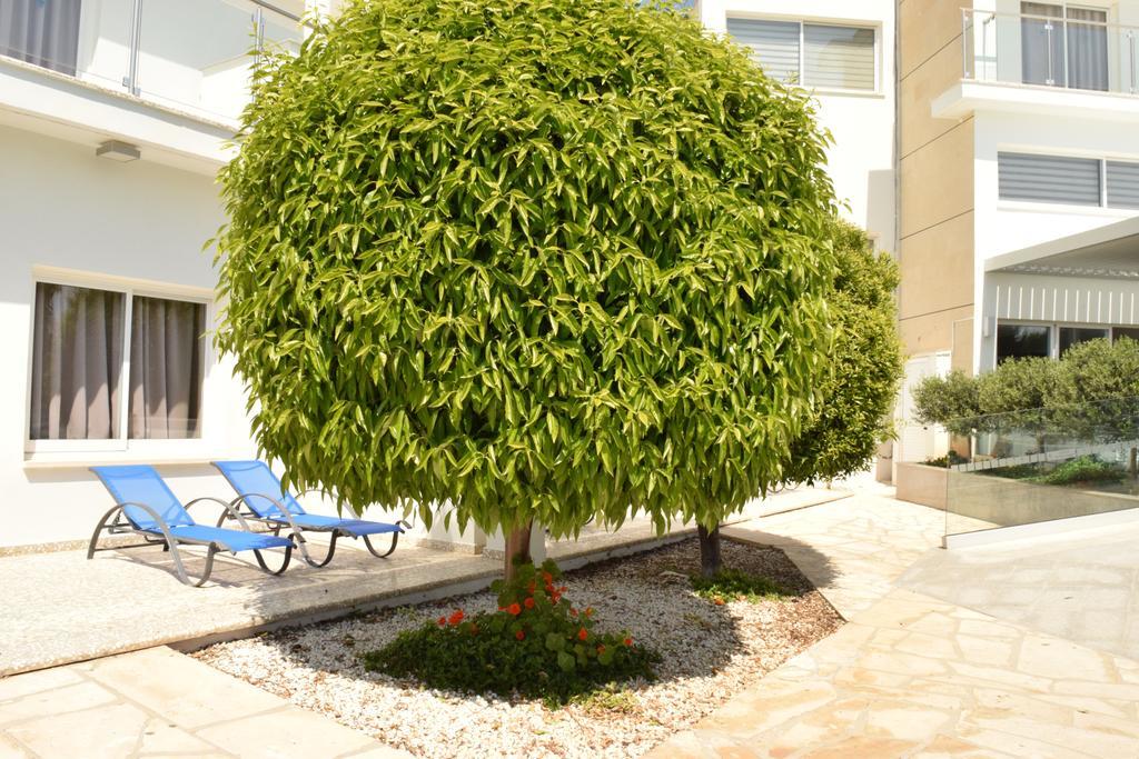Fedrania Gardens Hotel Agia Napa Exterior foto